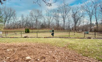 A person is standing in a field with a fence and trees in the background.